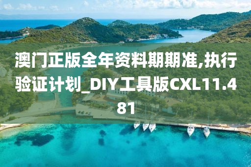 澳门正版全年资料期期准,执行验证计划_DIY工具版CXL11.481