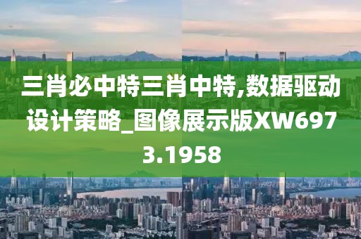 三肖必中特三肖中特,数据驱动设计策略_图像展示版XW6973.1958