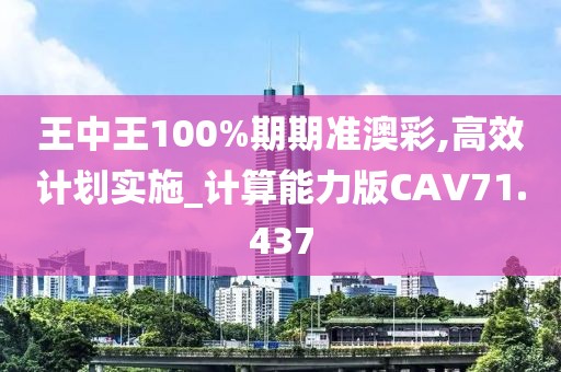 王中王100%期期准澳彩,高效计划实施_计算能力版CAV71.437