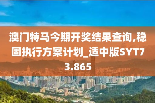 澳门特马今期开奖结果查询,稳固执行方案计划_适中版SYT73.865