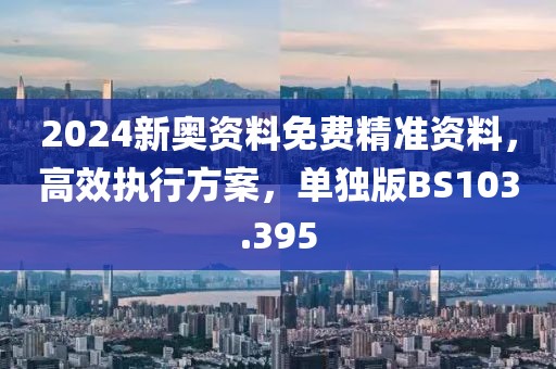 2024新奥资料免费精准资料，高效执行方案，单独版BS103.395