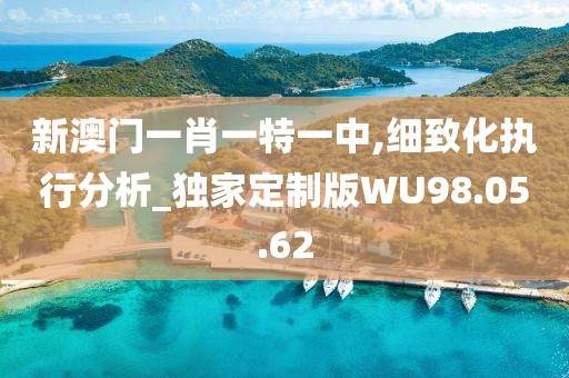 新澳门一肖一特一中,细致化执行分析_独家定制版WU98.05.62
