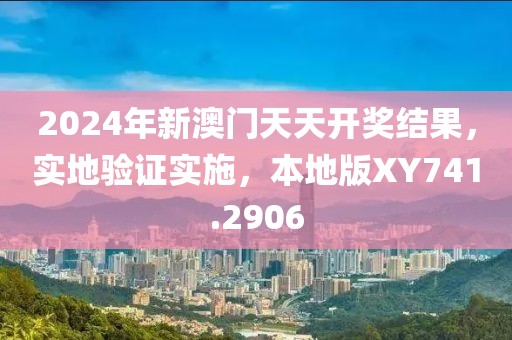 2024年新澳门天天开奖结果，实地验证实施，本地版XY741.2906