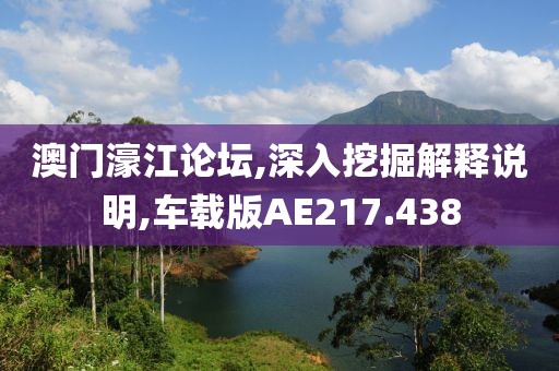 澳门濠江论坛,深入挖掘解释说明,车载版AE217.438