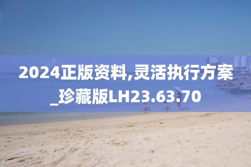 2024正版资料,灵活执行方案_珍藏版LH23.63.70
