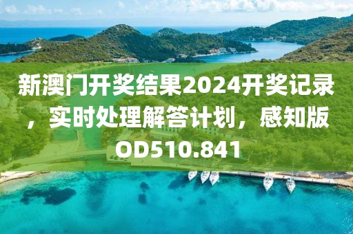 新澳门开奖结果2024开奖记录，实时处理解答计划，感知版OD510.841