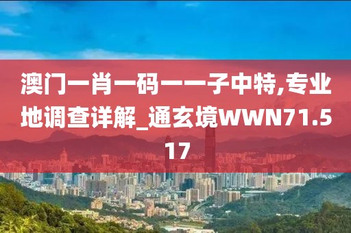 澳门一肖一码一一子中特,专业地调查详解_通玄境WWN71.517