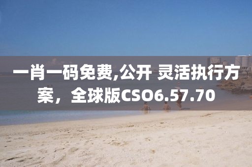 一肖一码免费,公开 灵活执行方案，全球版CSO6.57.70