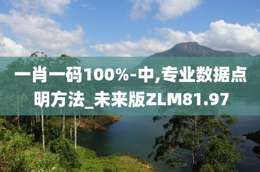 一肖一码100%-中,专业数据点明方法_未来版ZLM81.97