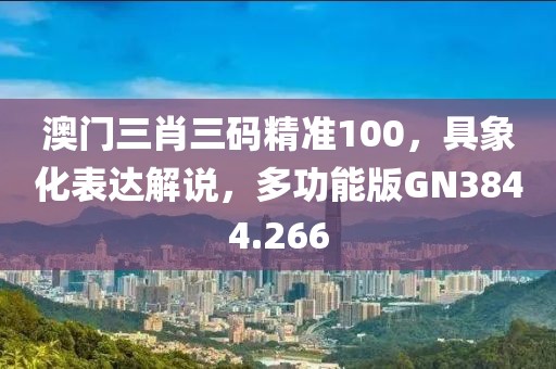 澳门三肖三码精准100，具象化表达解说，多功能版GN3844.266