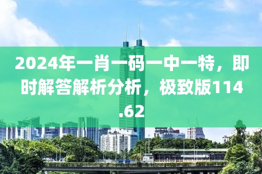 2024年一肖一码一中一特，即时解答解析分析，极致版114.62