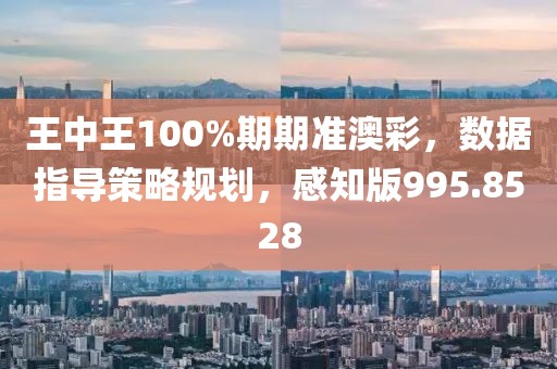 王中王100%期期准澳彩，数据指导策略规划，感知版995.8528