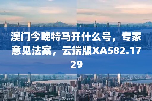 澳门今晚特马开什么号，专家意见法案，云端版XA582.1729