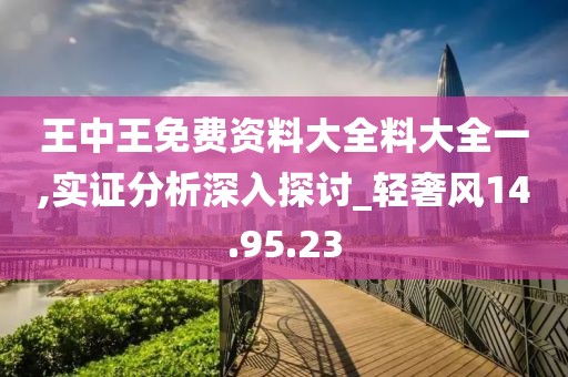 王中王免费资料大全料大全一,实证分析深入探讨_轻奢风14.95.23
