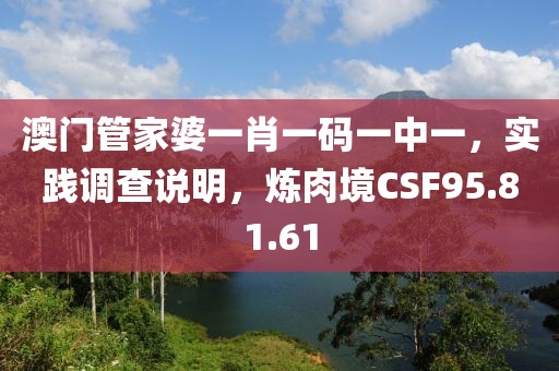 澳门管家婆一肖一码一中一，实践调查说明，炼肉境CSF95.81.61