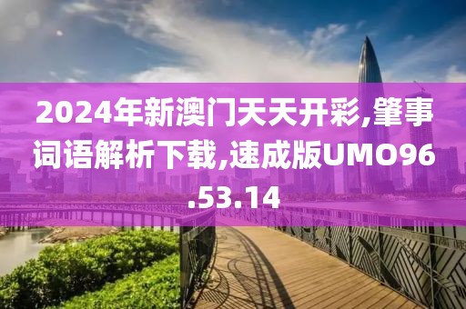 2024年新澳门天天开彩,肇事词语解析下载,速成版UMO96.53.14