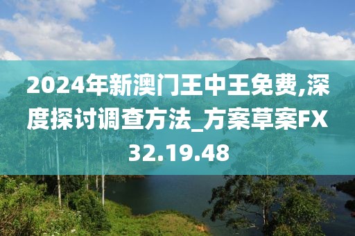 2024年新澳门王中王免费,深度探讨调查方法_方案草案FX32.19.48