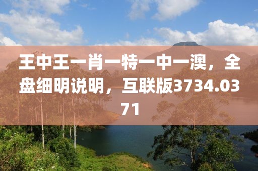 王中王一肖一特一中一澳，全盘细明说明，互联版3734.0371
