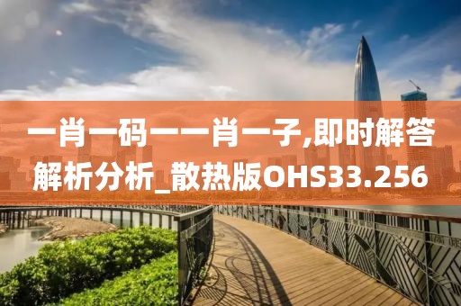 一肖一码一一肖一子,即时解答解析分析_散热版OHS33.256