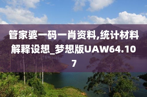 管家婆一码一肖资料,统计材料解释设想_梦想版UAW64.107