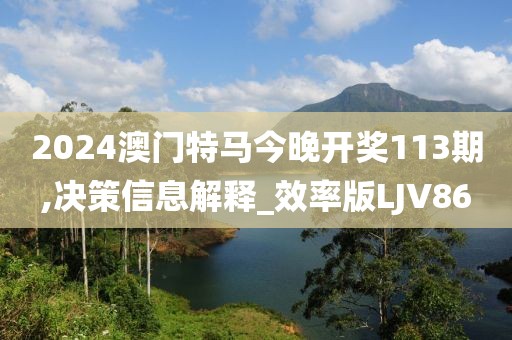 2024澳门特马今晚开奖113期,决策信息解释_效率版LJV86