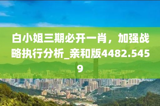白小姐三期必开一肖，加强战略执行分析_亲和版4482.5459