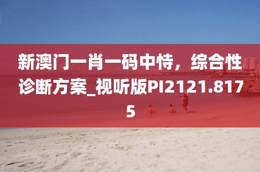 新澳门一肖一码中恃，综合性诊断方案_视听版PI2121.8175