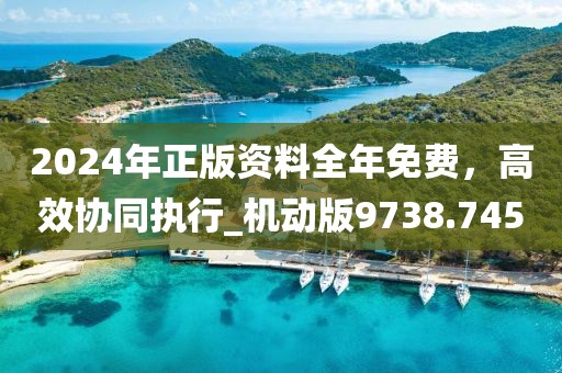 2024年正版资料全年免费，高效协同执行_机动版9738.745