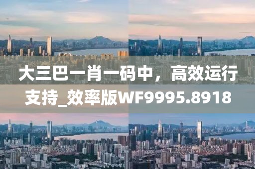 大三巴一肖一码中，高效运行支持_效率版WF9995.8918