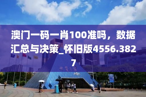 澳门一码一肖100准吗，数据汇总与决策_怀旧版4556.3827