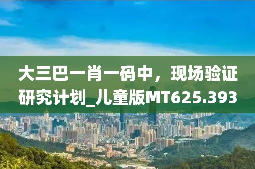 大三巴一肖一码中，现场验证研究计划_儿童版MT625.393