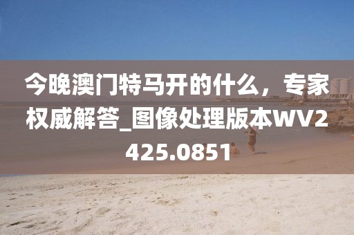 今晚澳门特马开的什么，专家权威解答_图像处理版本WV2425.0851