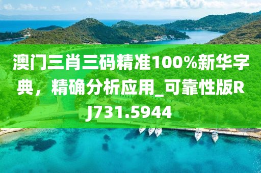 澳门三肖三码精准100%新华字典，精确分析应用_可靠性版RJ731.5944