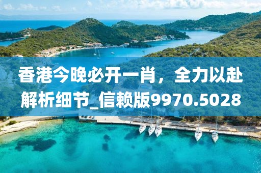 香港今晚必开一肖，全力以赴解析细节_信赖版9970.5028