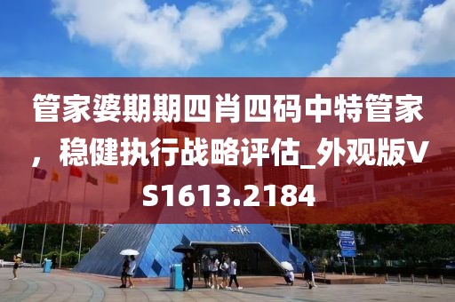 管家婆期期四肖四码中特管家，稳健执行战略评估_外观版VS1613.2184