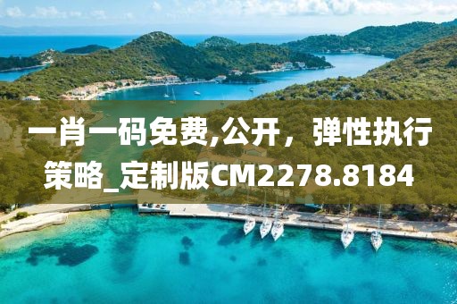 一肖一码免费,公开，弹性执行策略_定制版CM2278.8184