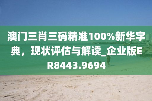 澳门三肖三码精准100%新华字典，现状评估与解读_企业版ER8443.9694