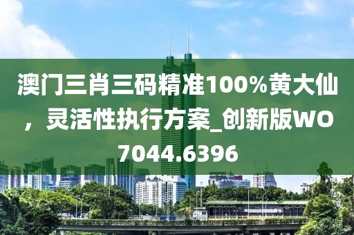 澳门三肖三码精准100%黄大仙，灵活性执行方案_创新版WO7044.6396