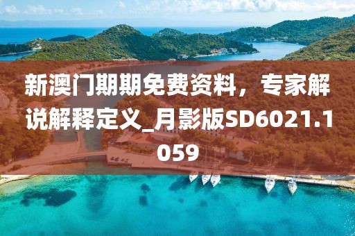 新澳门期期免费资料，专家解说解释定义_月影版SD6021.1059