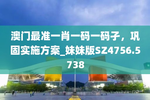 澳门最准一肖一码一码孑，巩固实施方案_妹妹版SZ4756.5738