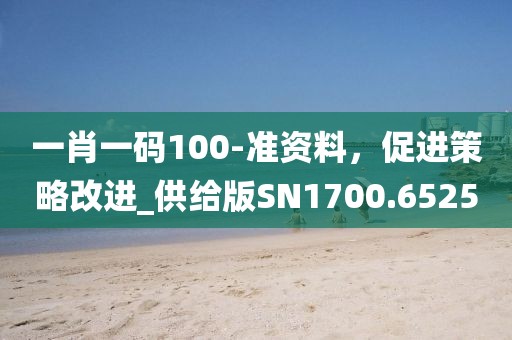 一肖一码100-准资料，促进策略改进_供给版SN1700.6525