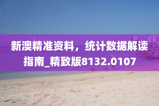 新澳精准资料，统计数据解读指南_精致版8132.0107