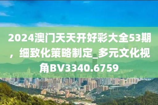 2024澳门天天开好彩大全53期，细致化策略制定_多元文化视角BV3340.6759