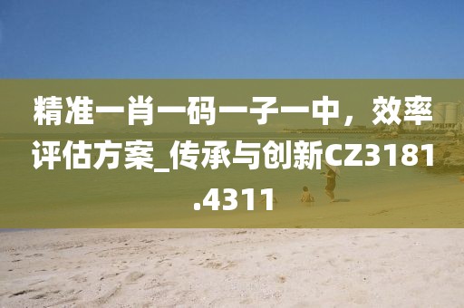 精准一肖一码一子一中，效率评估方案_传承与创新CZ3181.4311