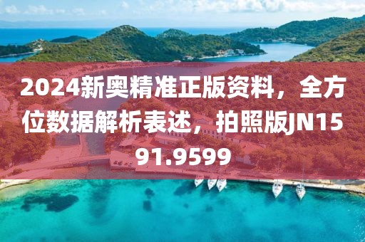 2024新奥精准正版资料，全方位数据解析表述，拍照版JN1591.9599