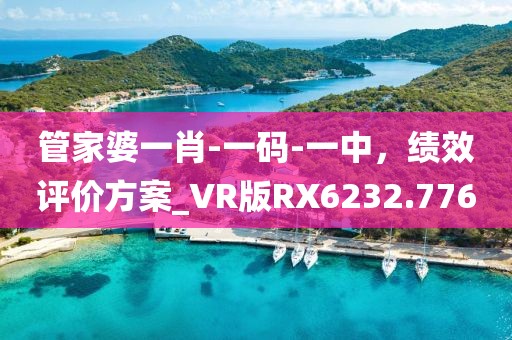 管家婆一肖-一码-一中，绩效评价方案_VR版RX6232.776