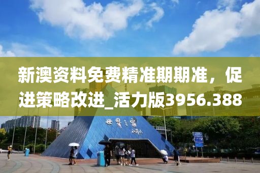 新澳资料免费精准期期准，促进策略改进_活力版3956.388