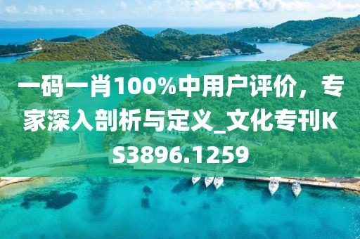 一码一肖100%中用户评价，专家深入剖析与定义_文化专刊KS3896.1259