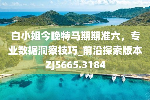 白小姐今晚特马期期准六，专业数据洞察技巧_前沿探索版本ZJ5665.3184
