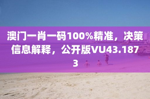澳门一肖一码100%精准，决策信息解释，公开版VU43.1873